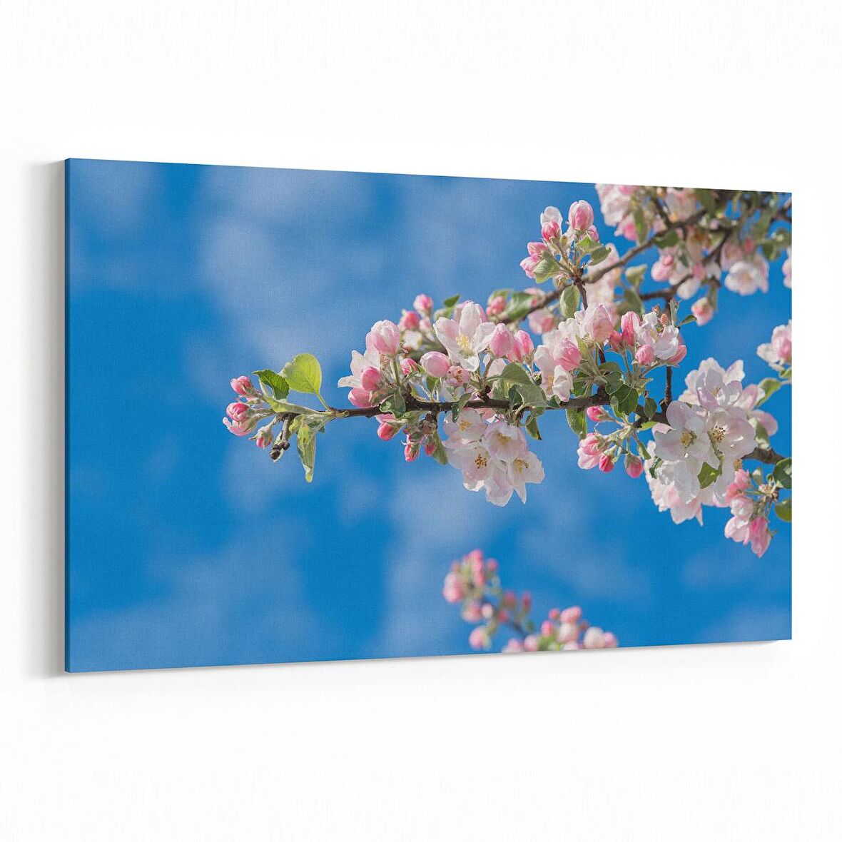 Olla 10860Y Ağaç Görseli Yatay Kanvas Tablo (Ölçü: 30X20)