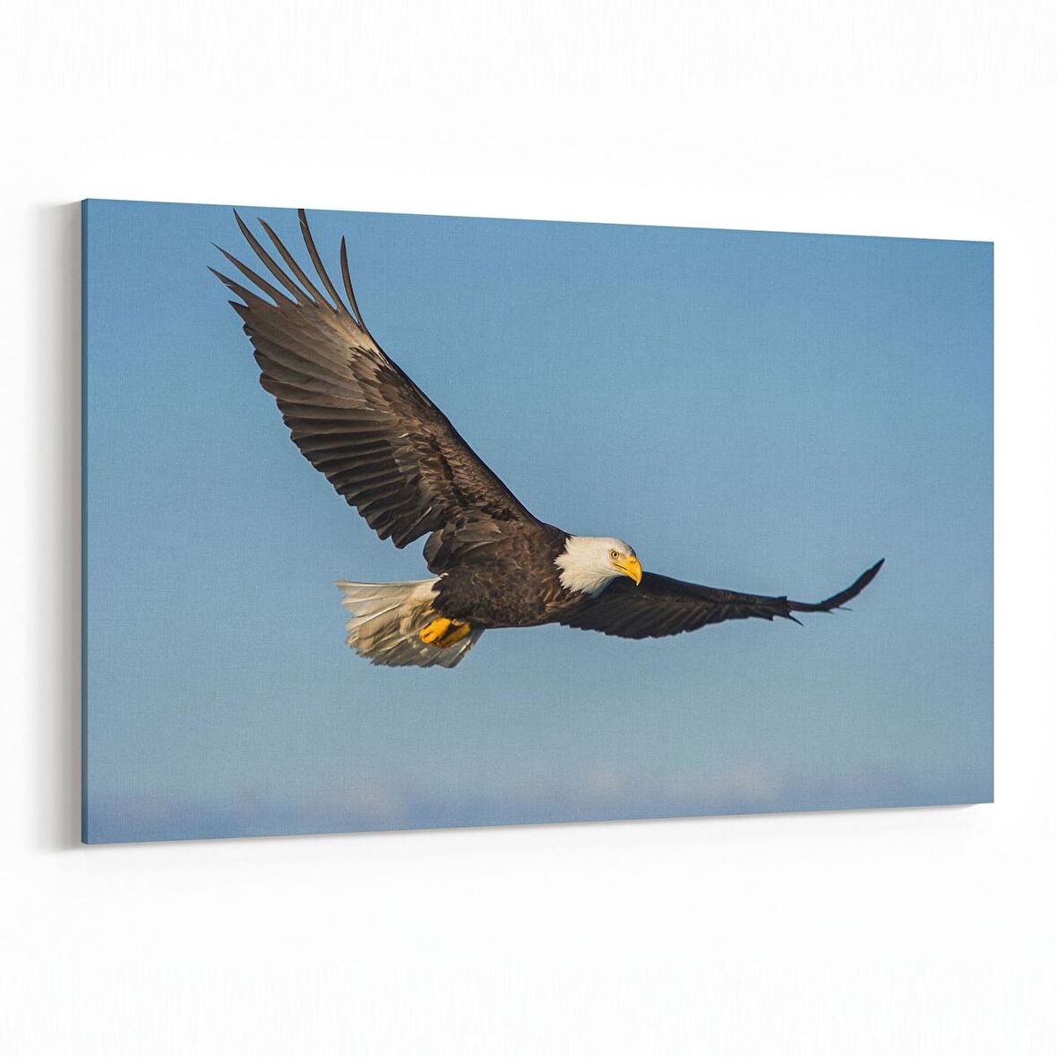 Olla 15859Y Gökyüzü Kuşlar Görseli Yatay Kanvas Tablo (Ölçü: 70X50)