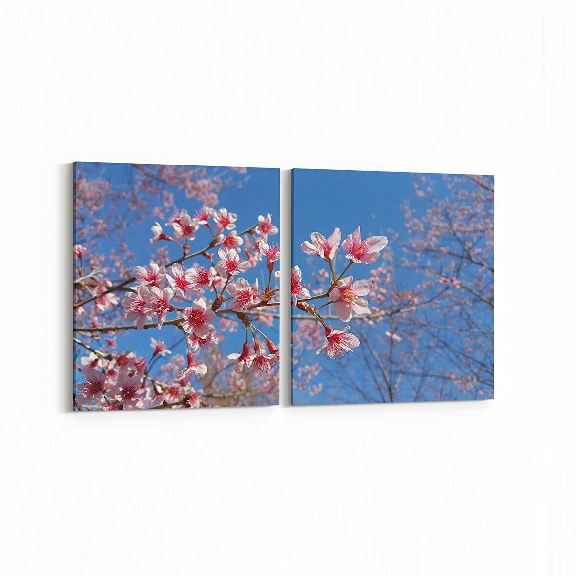 Olla 10929K2Y Ağaç Görseli Kare 2'li Yatay Kanvas Tablo (Ölçü: 85X40)