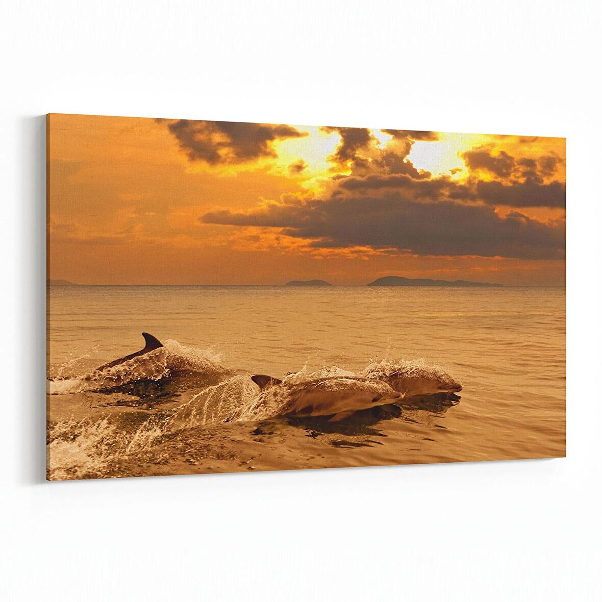 Olla 12695Y Hayvanlar Alemi Görseli Yatay Kanvas Tablo (Ölçü: 120X80)