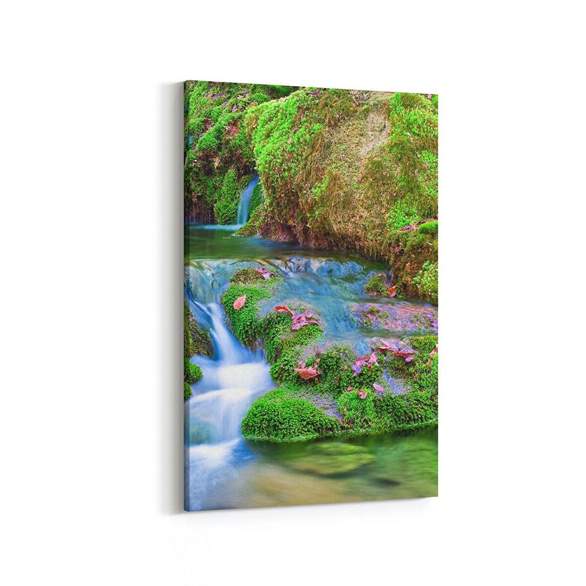 Olla 14374D Doğa / Manzara Görseli Dikey Kanvas Tablo (Ölçü: 60X90)