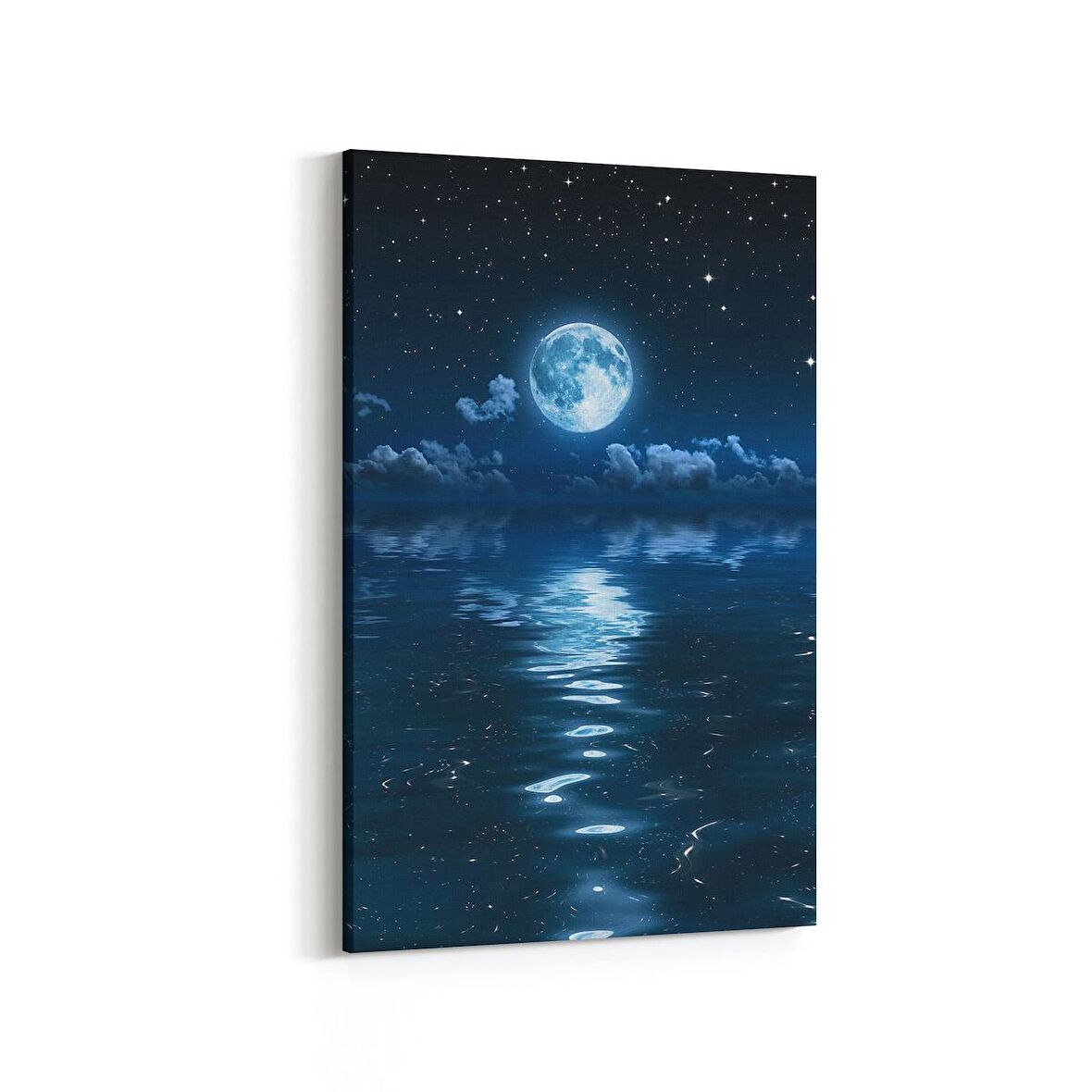 Olla 14682D Gece Gökyüzü Görseli Dikey Kanvas Tablo (Ölçü: 60X90)