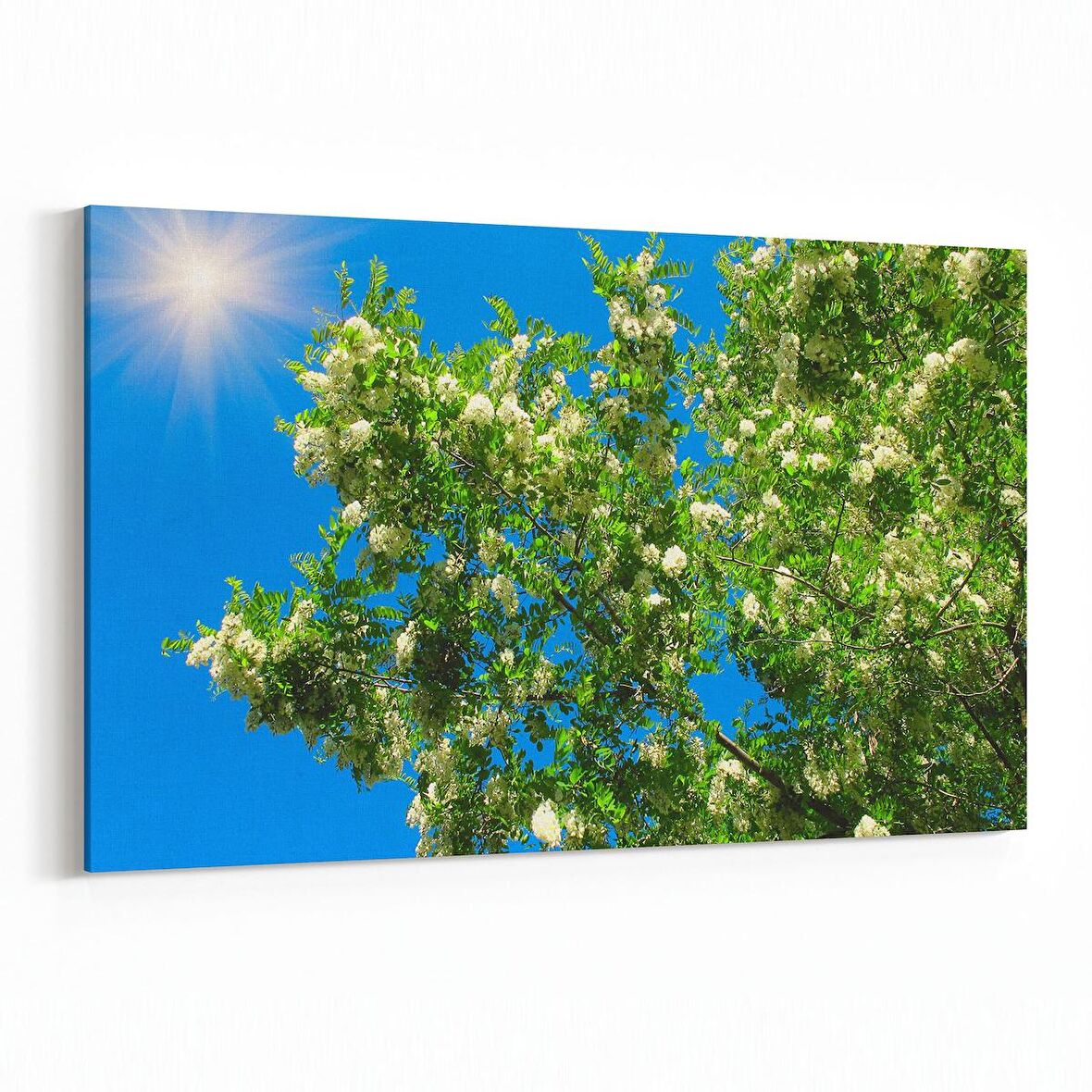 Olla 10788Y Ağaç Görseli Yatay Kanvas Tablo (Ölçü: 30X20)