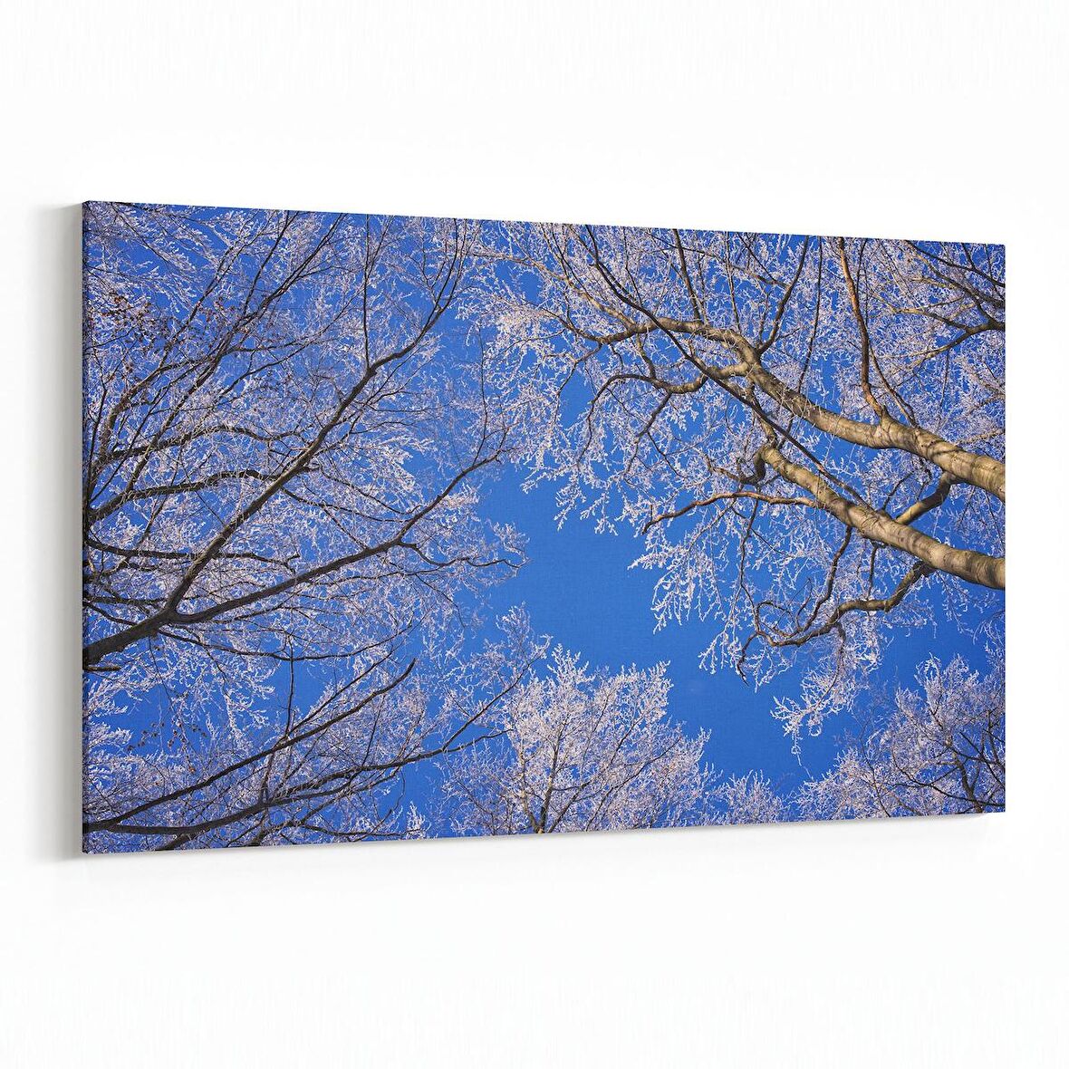 Olla 11014Y Ağaç Görseli Yatay Kanvas Tablo (Ölçü: 150X100)