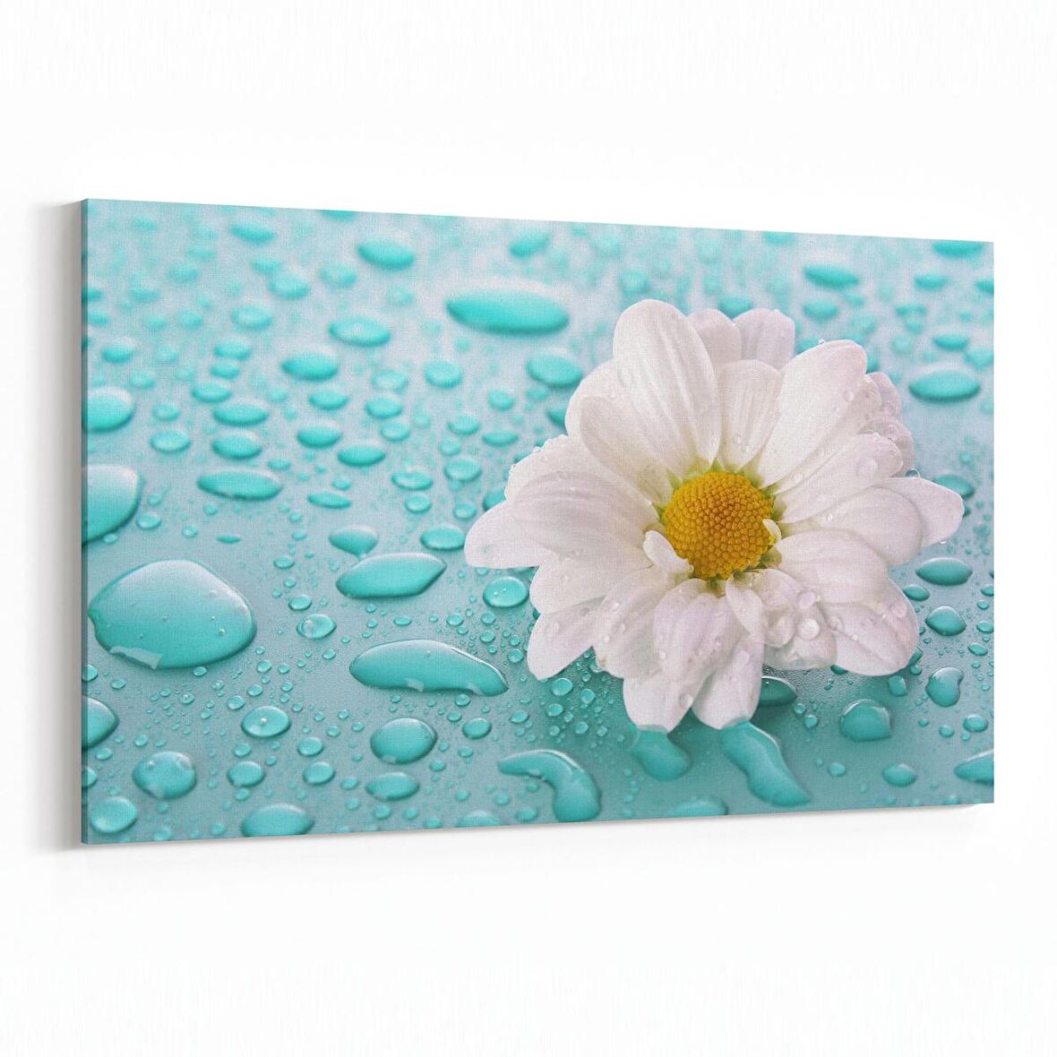 Olla 10897Y Ağaç Görseli Yatay Kanvas Tablo (Ölçü: 150X100)