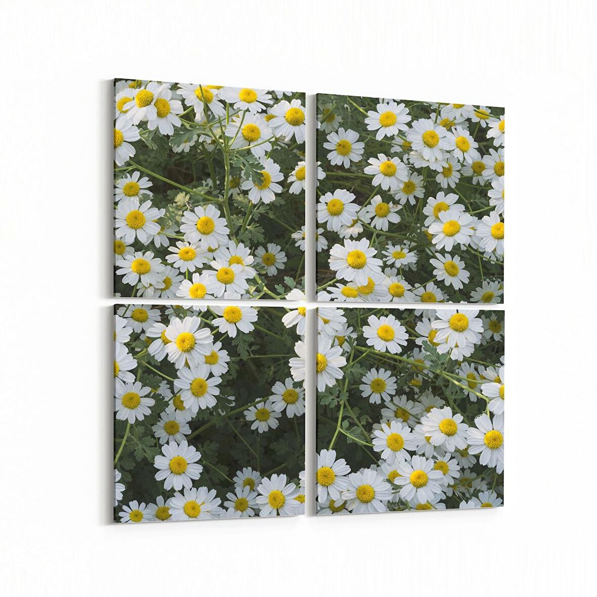 Olla 11611K4 Çiçek Görseli Kare 4'lü Kanvas Tablo (Ölçü: 65X65)