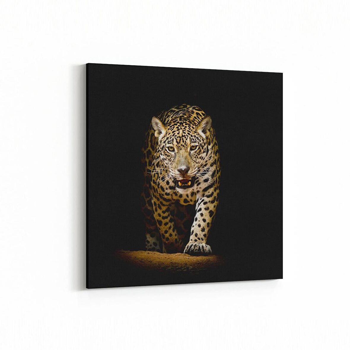 Olla 12477K Hayvanlar Alemi Görseli Kare Kanvas Tablo (Ölçü: 30X30)