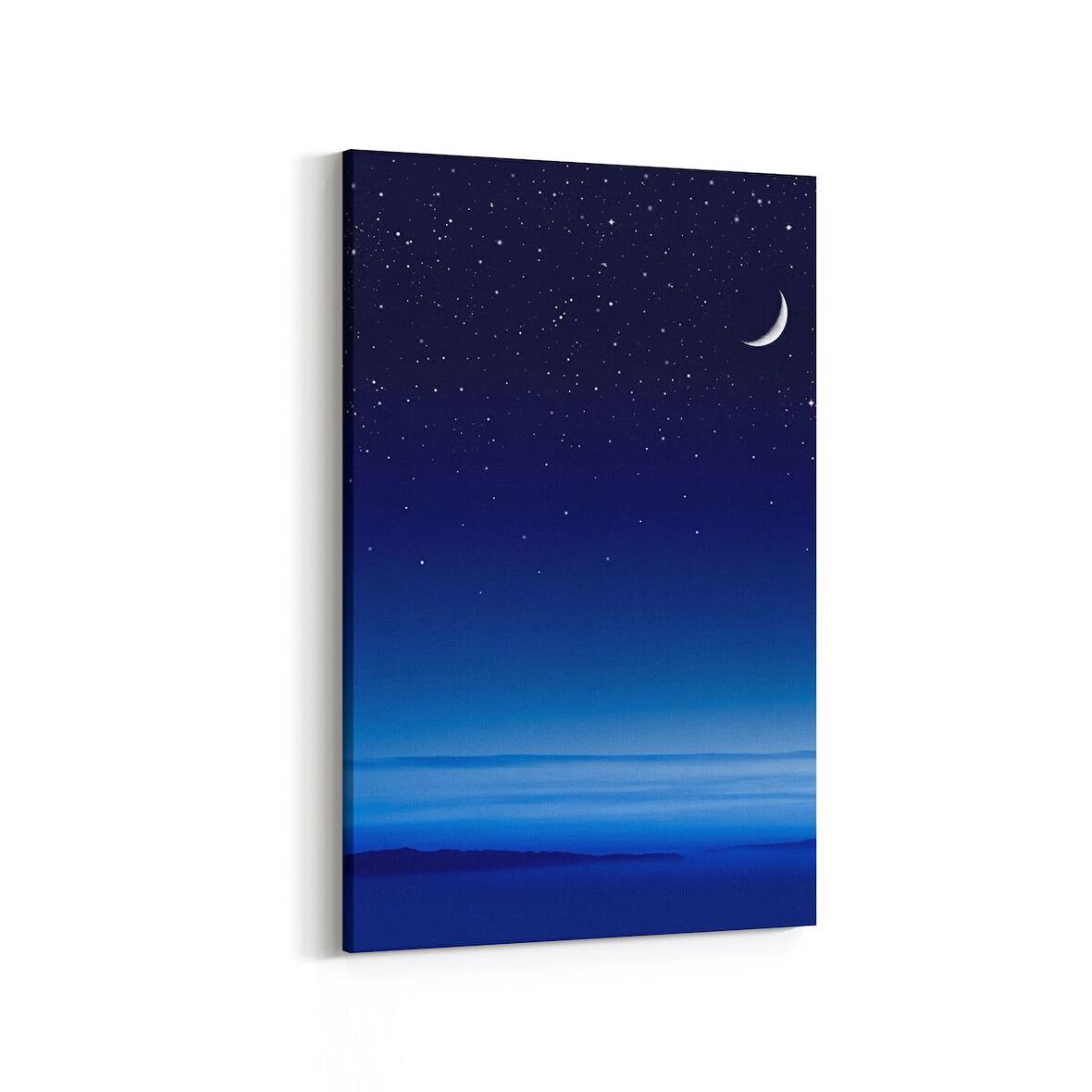 Olla 14768D Gece Gökyüzü Görseli Dikey Kanvas Tablo (Ölçü: 20X30)