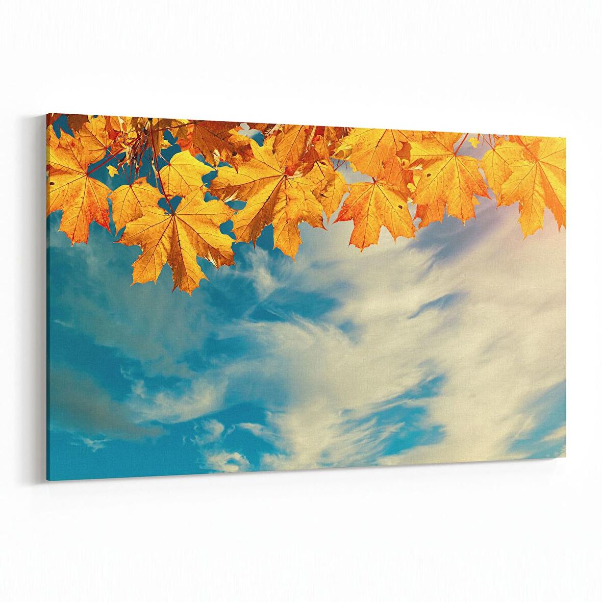 Olla 10890Y Ağaç Görseli Yatay Kanvas Tablo (Ölçü: 90X60)