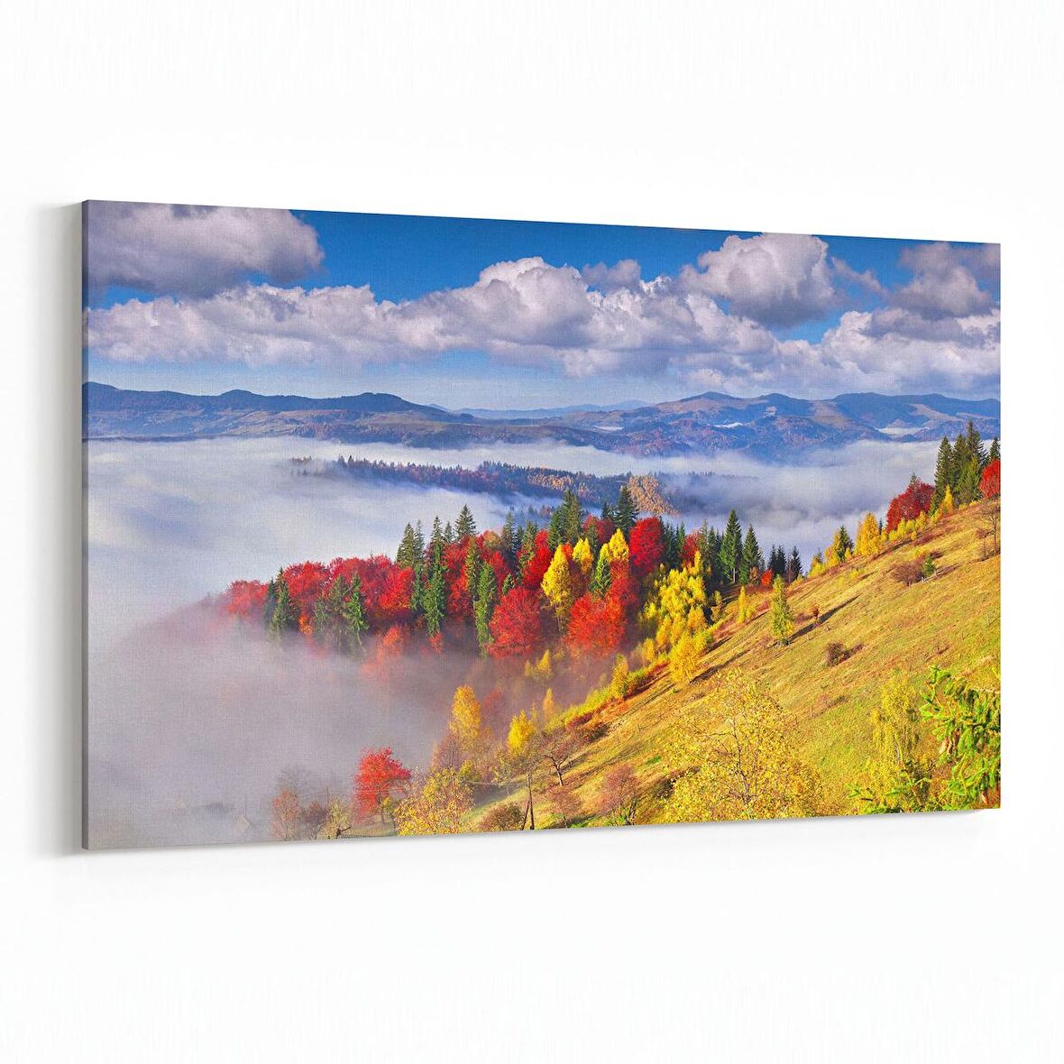 Olla 13732Y Doğa / Manzara Görseli Yatay Kanvas Tablo (Ölçü: 30X20)
