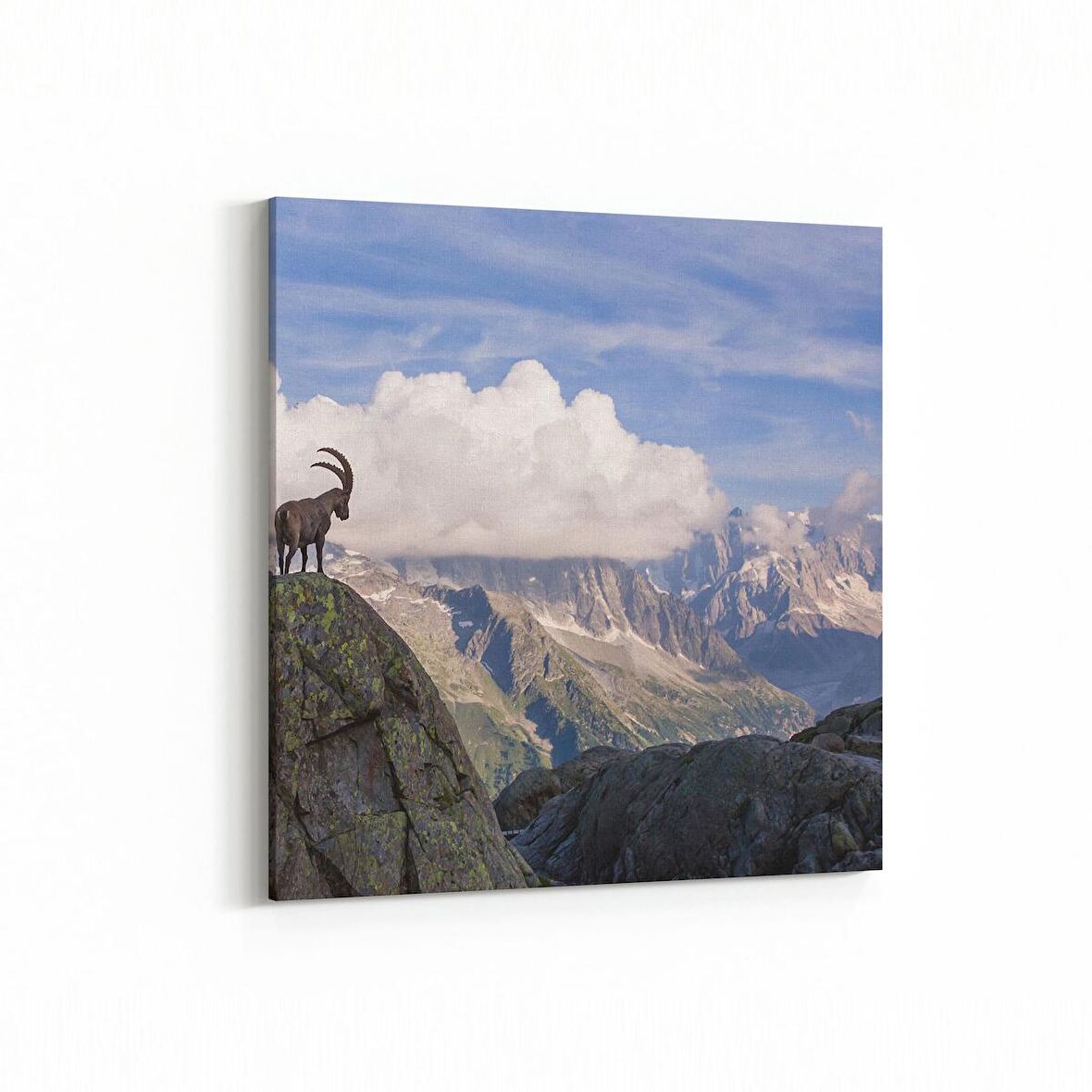 Olla 13218K Doğa / Manzara Görseli Kare Kanvas Tablo (Ölçü: 60X60)