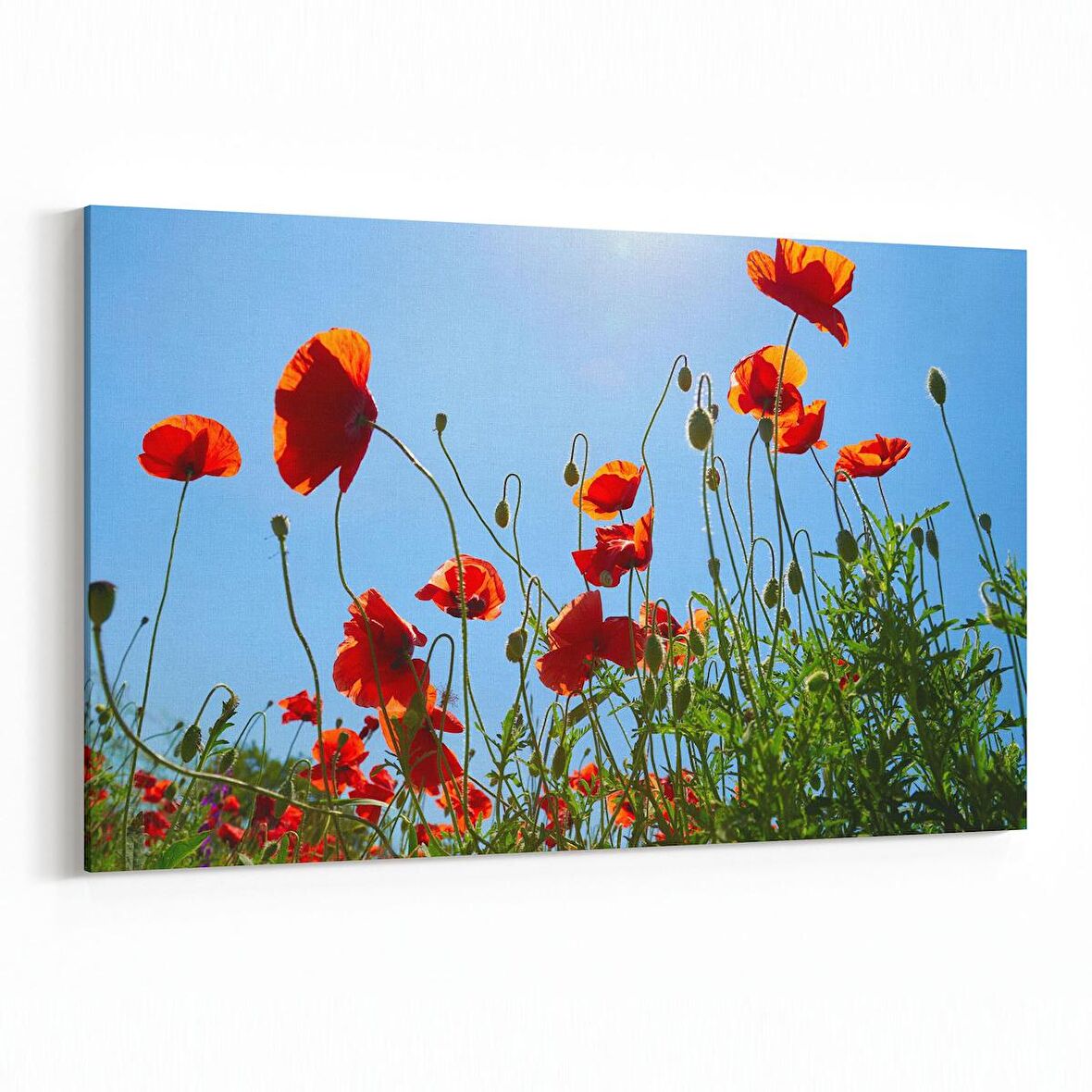 Olla 10495Y Ağaç Görseli Yatay Kanvas Tablo (Ölçü: 45X30)