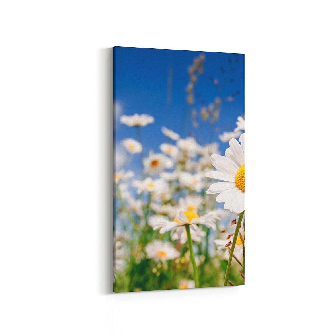 Olla 13544DD Doğa / Manzara Görseli Dikey Dar Kanvas Tablo (Ölçü: 60X120)