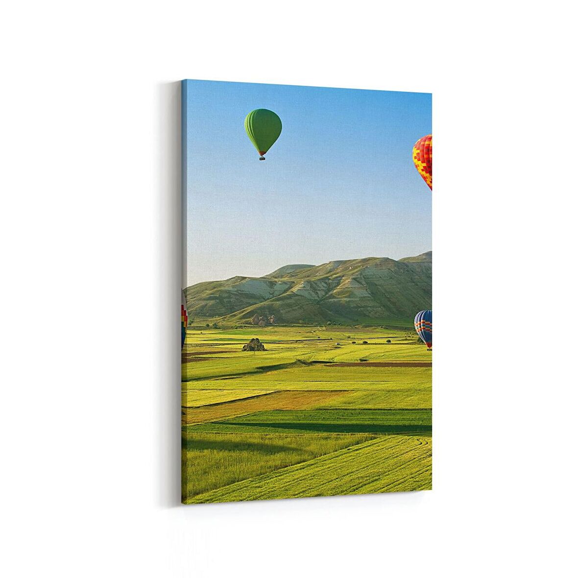 Olla 13861D Doğa / Manzara Görseli Dikey Kanvas Tablo (Ölçü: 60X90)