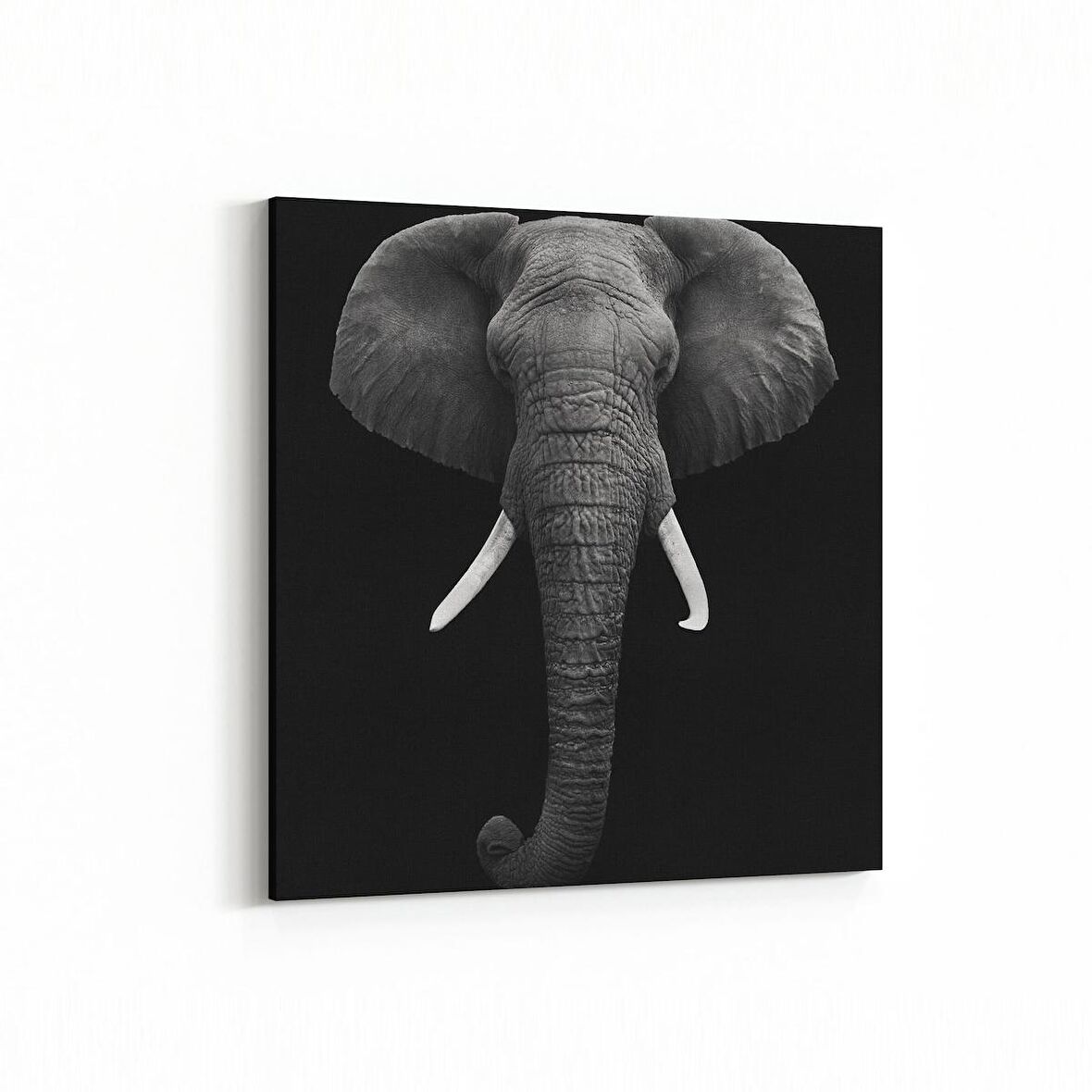 Olla 12508K Hayvanlar Alemi Görseli Kare Kanvas Tablo (Ölçü: 25X25)