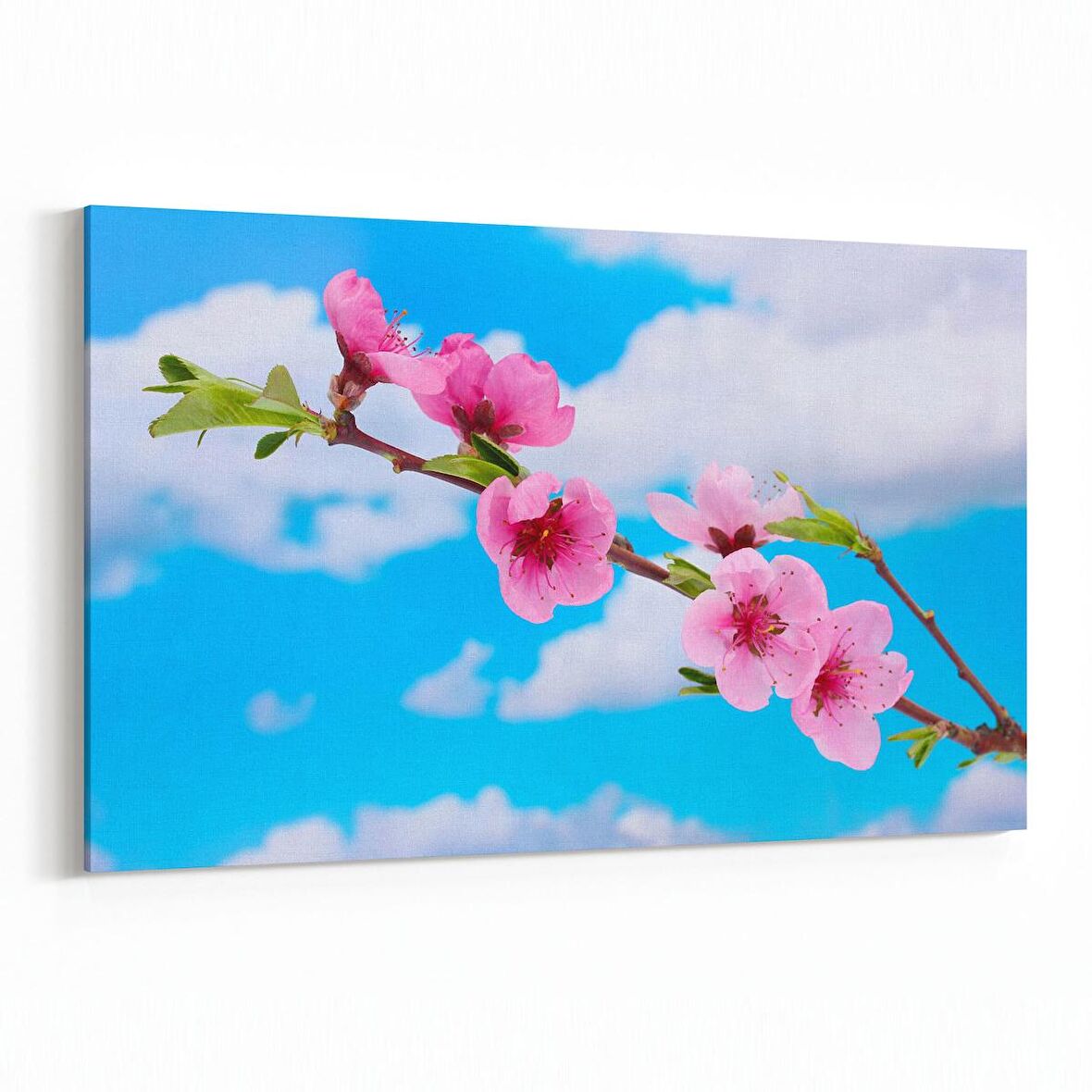 Olla 10645Y Ağaç Görseli Yatay Kanvas Tablo (Ölçü: 30X20)