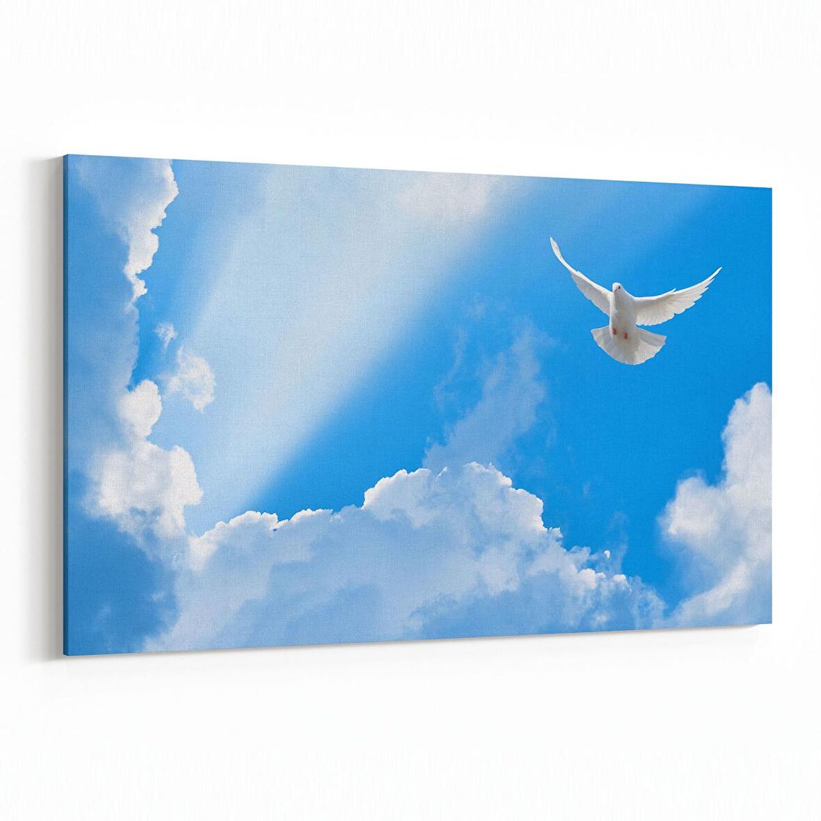 Olla 15873Y Gökyüzü Kuşlar Görseli Yatay Kanvas Tablo (Ölçü: 90X60)