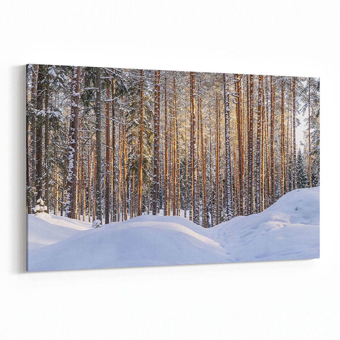 Olla 13533Y Doğa / Manzara Görseli Yatay Kanvas Tablo (Ölçü: 45X30)