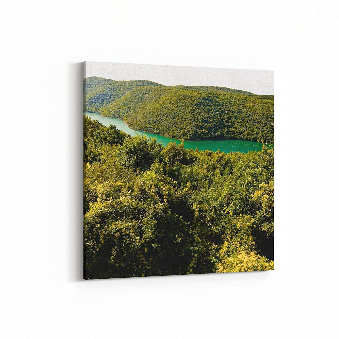 Olla 13698K Doğa / Manzara Görseli Kare Kanvas Tablo (Ölçü: 60X60)
