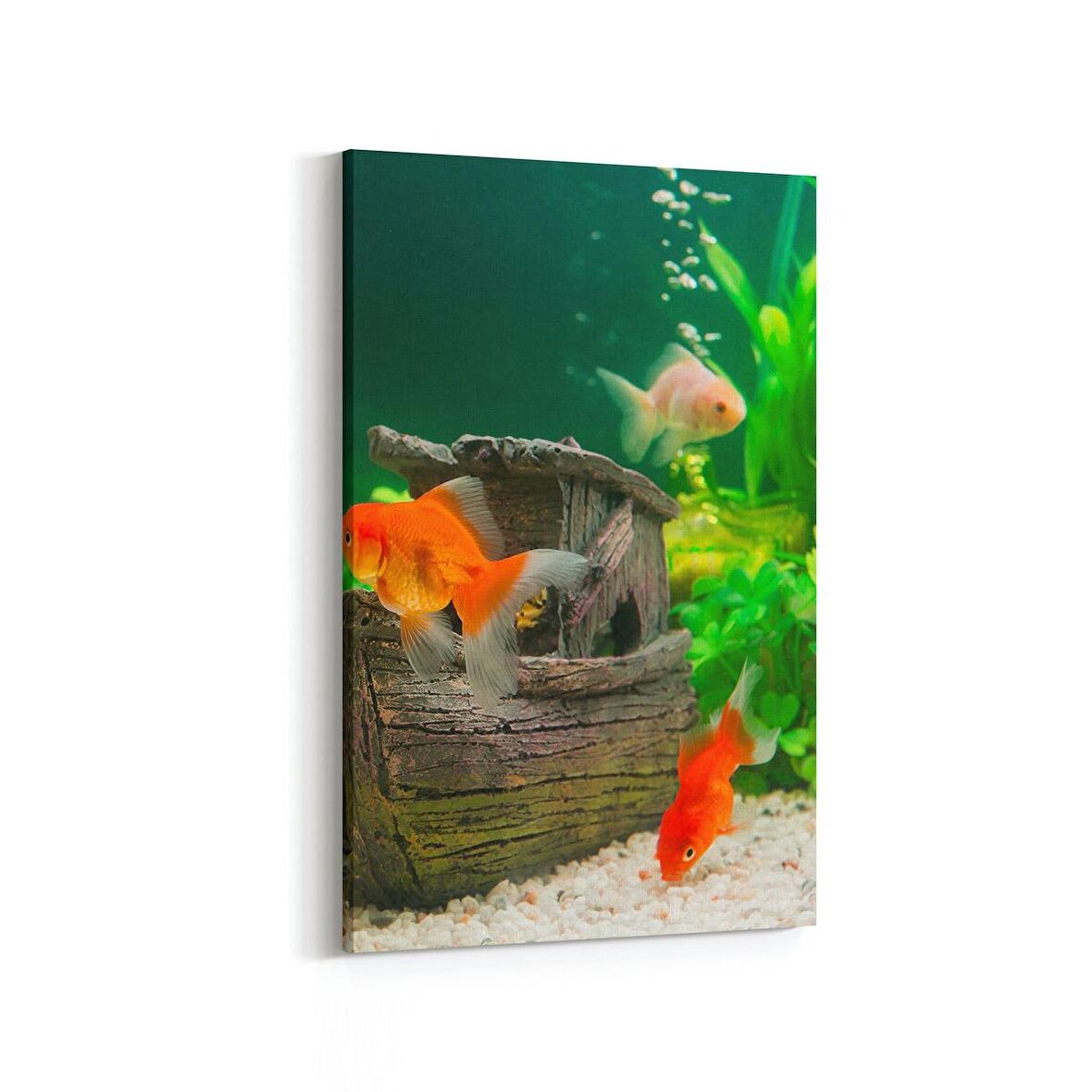 Olla 12780D Çocuk Odası Görseli Dikey Kanvas Tablo (Ölçü: 60X90)