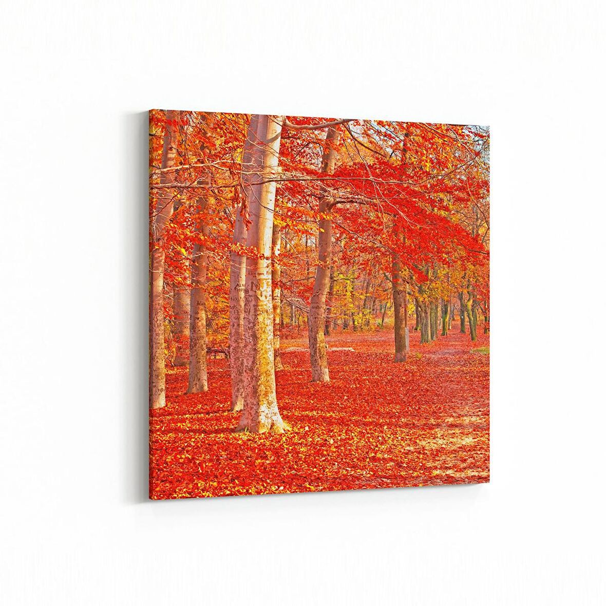 Olla 13553K Doğa / Manzara Görseli Kare Kanvas Tablo (Ölçü: 25X25)