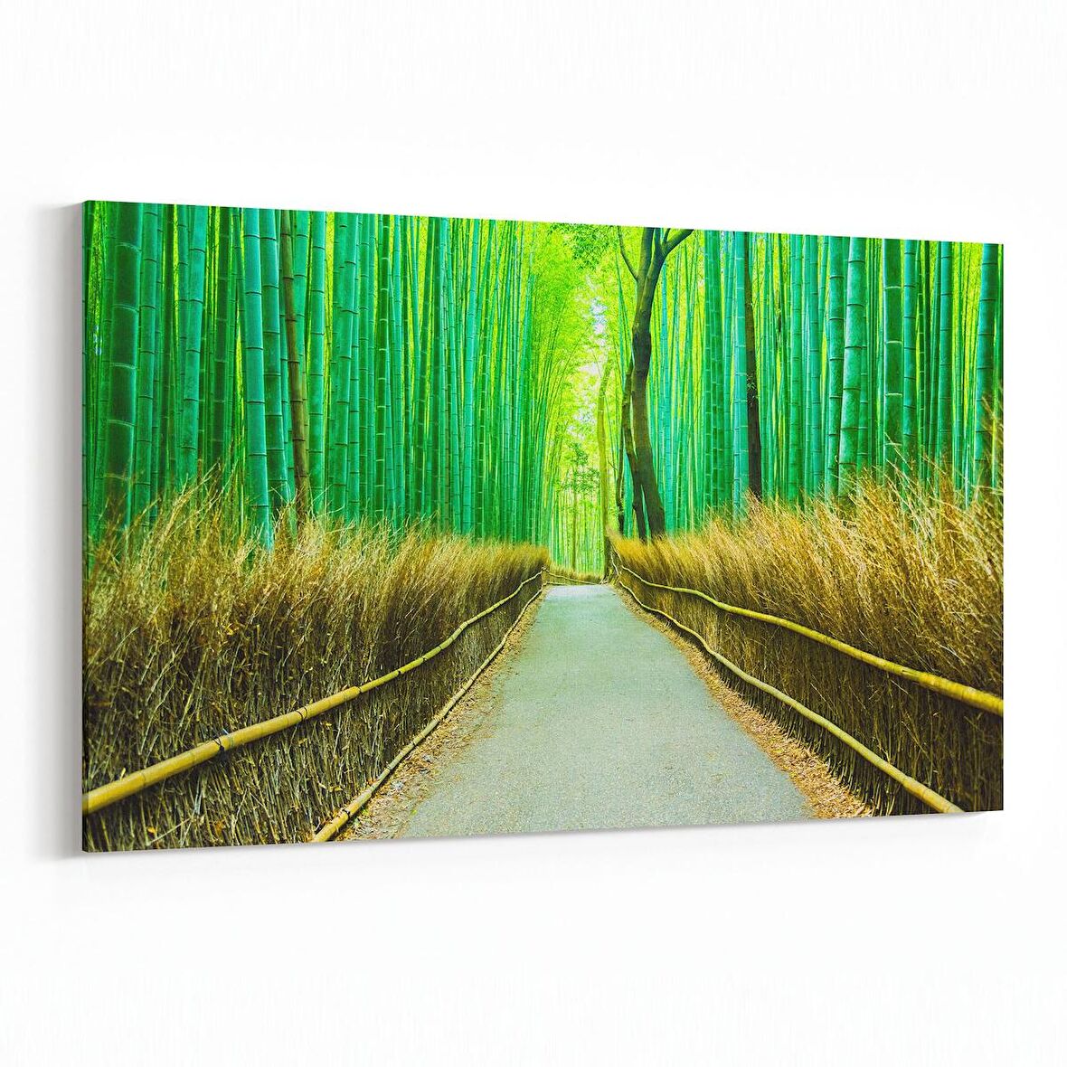 Olla 14071Y Doğa / Manzara Görseli Yatay Kanvas Tablo (Ölçü: 70X50)