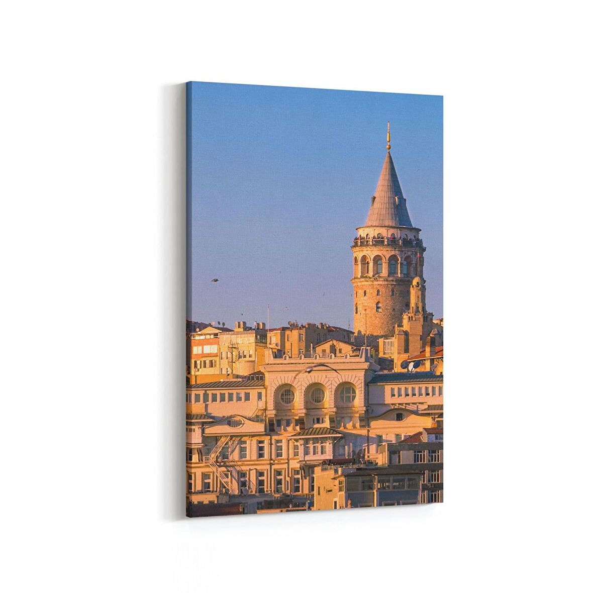 Olla 18900D Yapı Görseli Dikey Kanvas Tablo (Ölçü: 100X150)