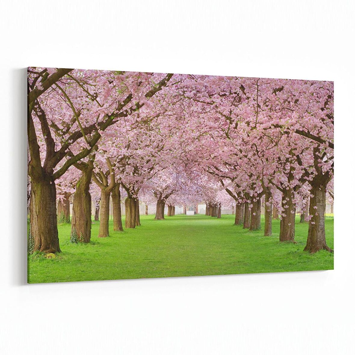 Olla 14054Y Doğa / Manzara Görseli Yatay Kanvas Tablo (Ölçü: 150X100)