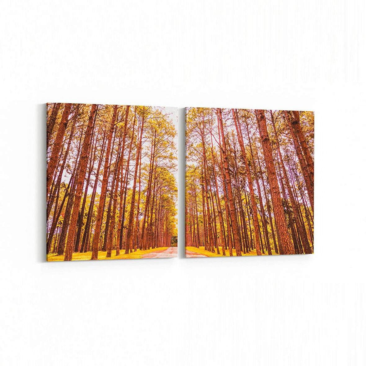 Olla 14101K2Y Doğa / Manzara Görseli Kare 2'li Yatay Kanvas Tablo (Ölçü: 125X60)