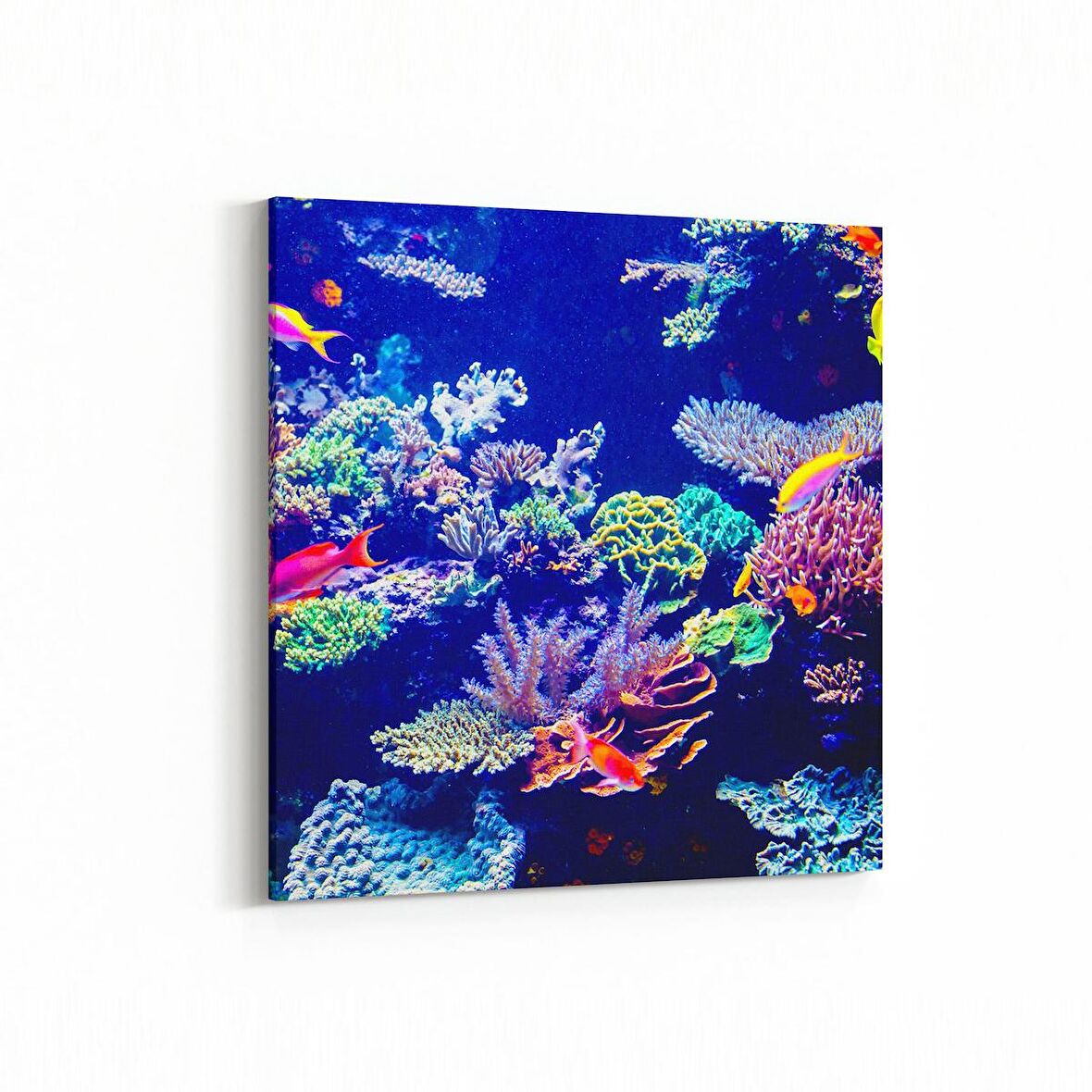 Olla 12119K Akvaryum / Balık Görseli Kare Kanvas Tablo (Ölçü: 30X30)