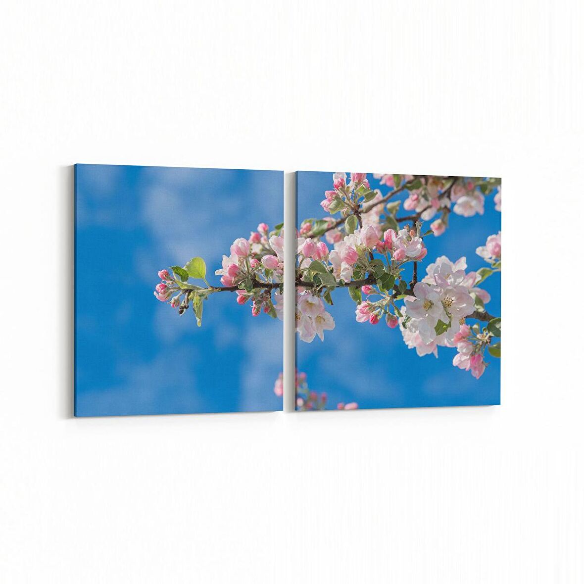 Olla 10860K2Y Ağaç Görseli Kare 2'li Yatay Kanvas Tablo (Ölçü: 125X60)