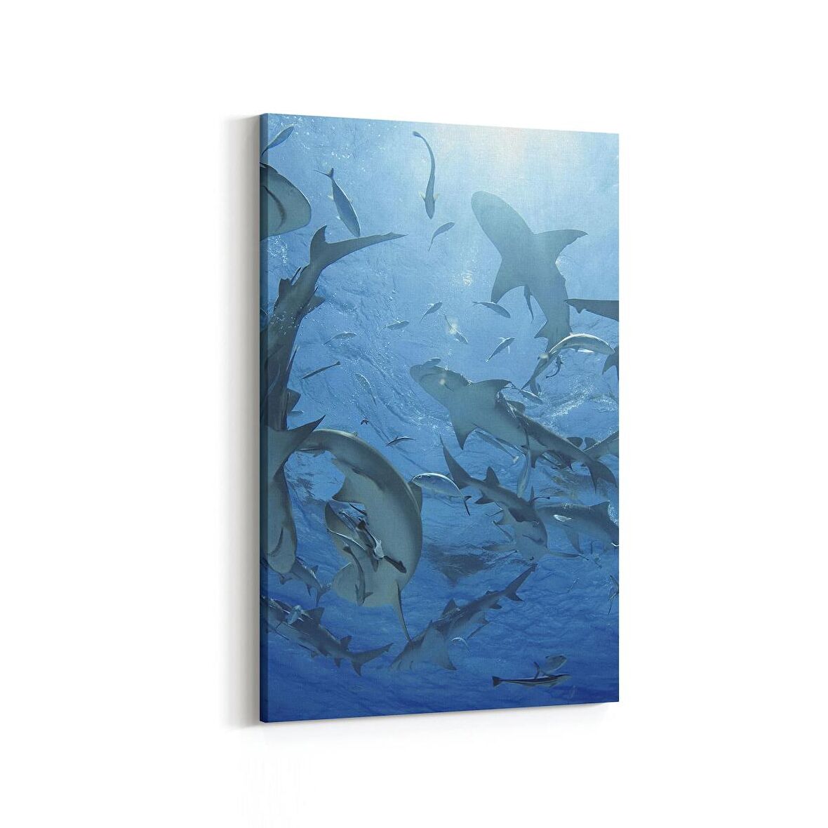 Olla 12936D Deniz / Okyanus Görseli Dikey Kanvas Tablo (Ölçü: 70X105)