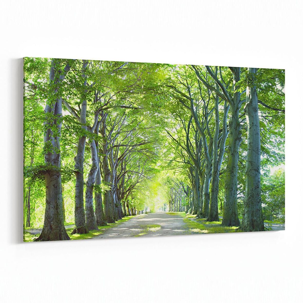 Olla 13234Y Doğa / Manzara Görseli Yatay Kanvas Tablo (Ölçü: 30X20)
