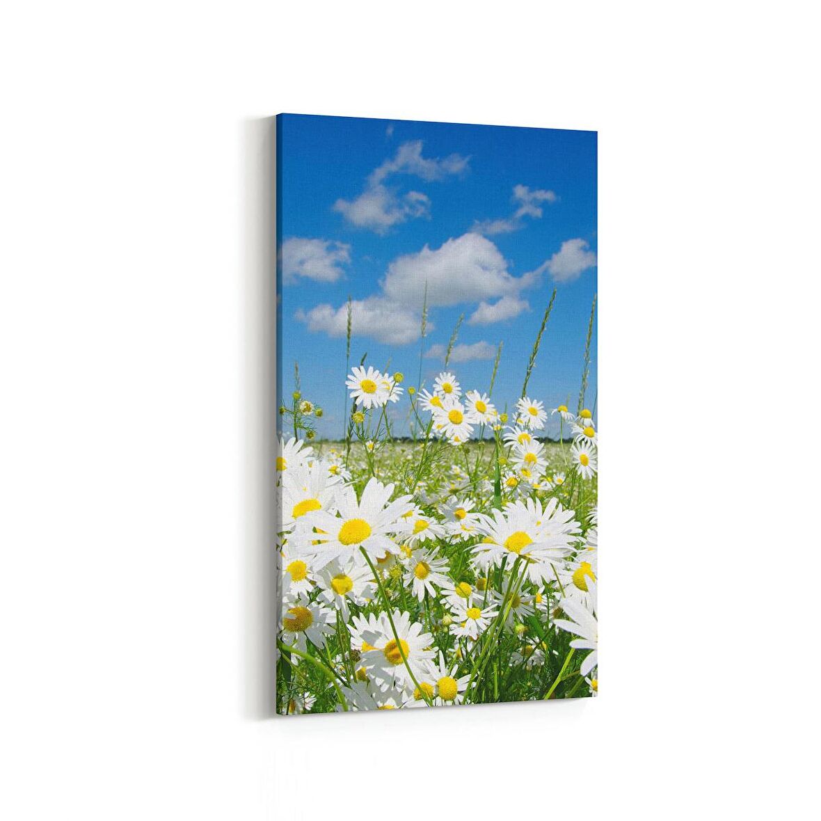 Olla 13569DD Doğa / Manzara Görseli Dikey Dar Kanvas Tablo (Ölçü: 40X80)