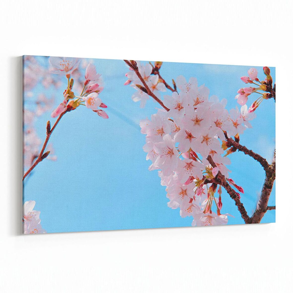 Olla 10672Y Ağaç Görseli Yatay Kanvas Tablo (Ölçü: 45X30)