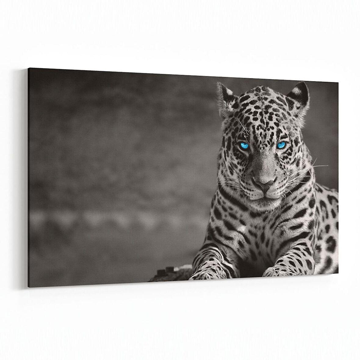 Olla 12490Y Hayvanlar Alemi Görseli Yatay Kanvas Tablo (Ölçü: 30X20)