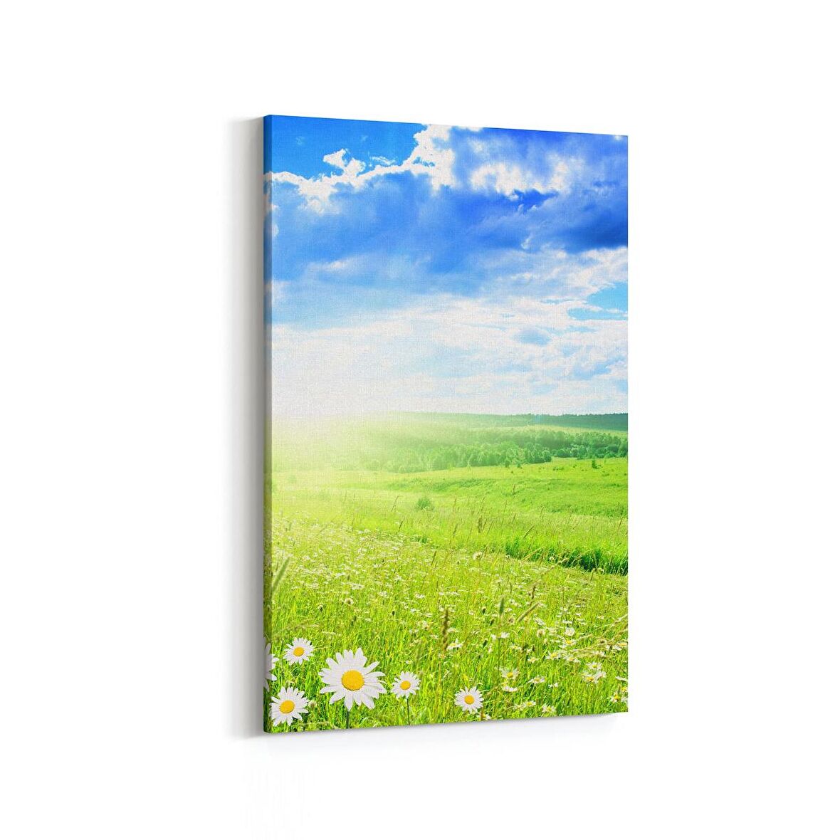 Olla 13754D Doğa / Manzara Görseli Dikey Kanvas Tablo (Ölçü: 60X90)