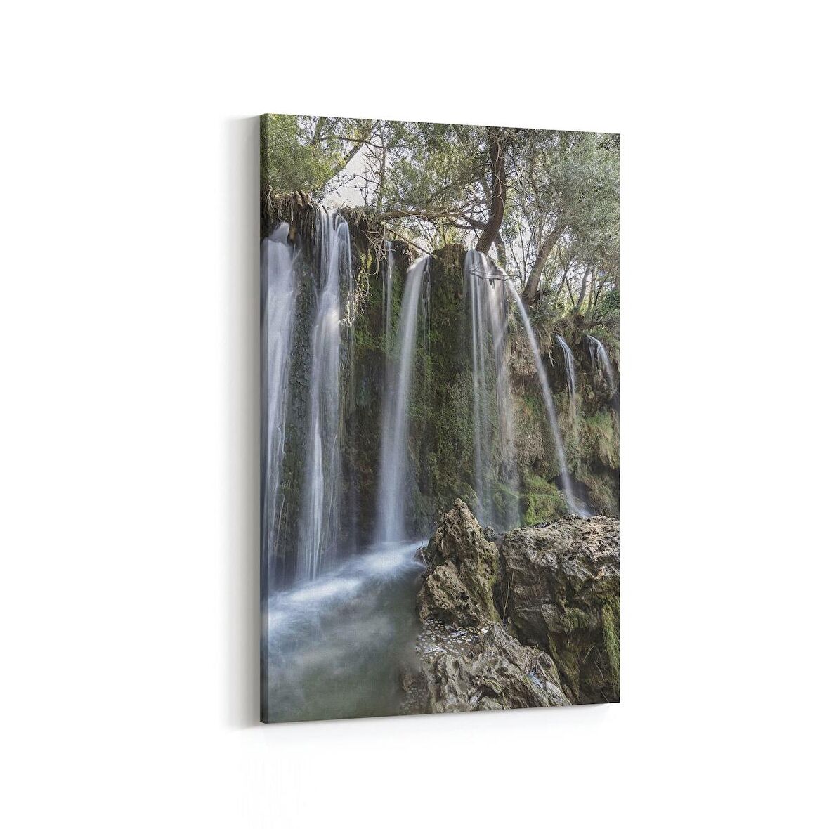 Olla 14441D Doğa / Manzara Görseli Dikey Kanvas Tablo (Ölçü: 100X150)