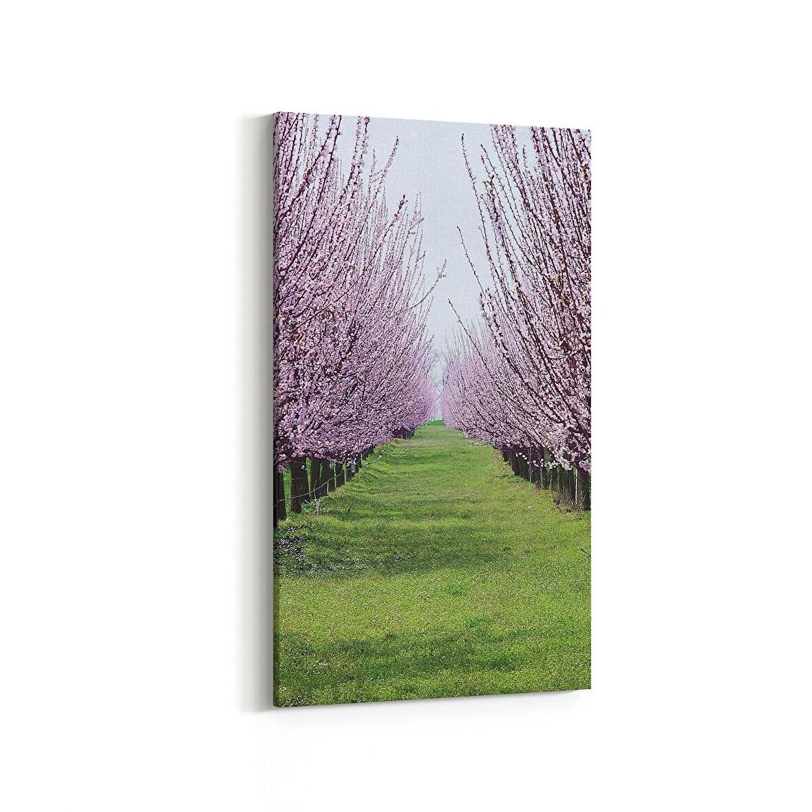 Olla 13453DD Doğa / Manzara Görseli Dikey Dar Kanvas Tablo (Ölçü: 40X80)