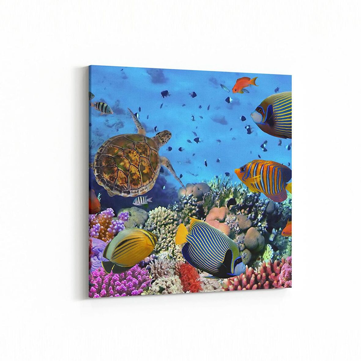 Olla 12141K Akvaryum / Balık Görseli Kare Kanvas Tablo (Ölçü: 30X30)