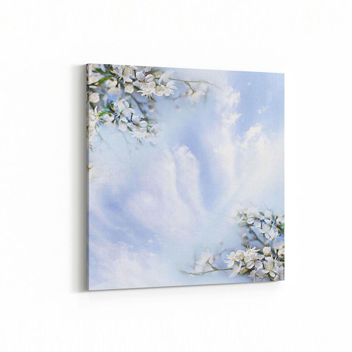 Olla 11659K Orkide Çiçek Görseli Kare Kanvas Tablo (Ölçü: 25X25)