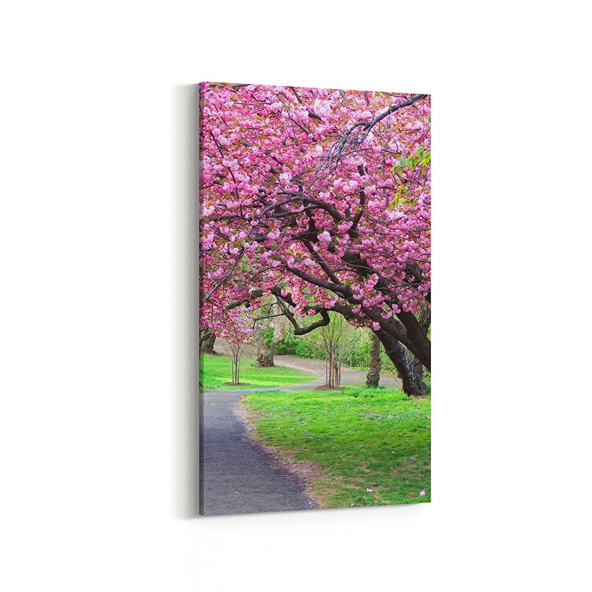 Olla 14265DD Doğa / Manzara Görseli Dikey Dar Kanvas Tablo (Ölçü: 40X80)