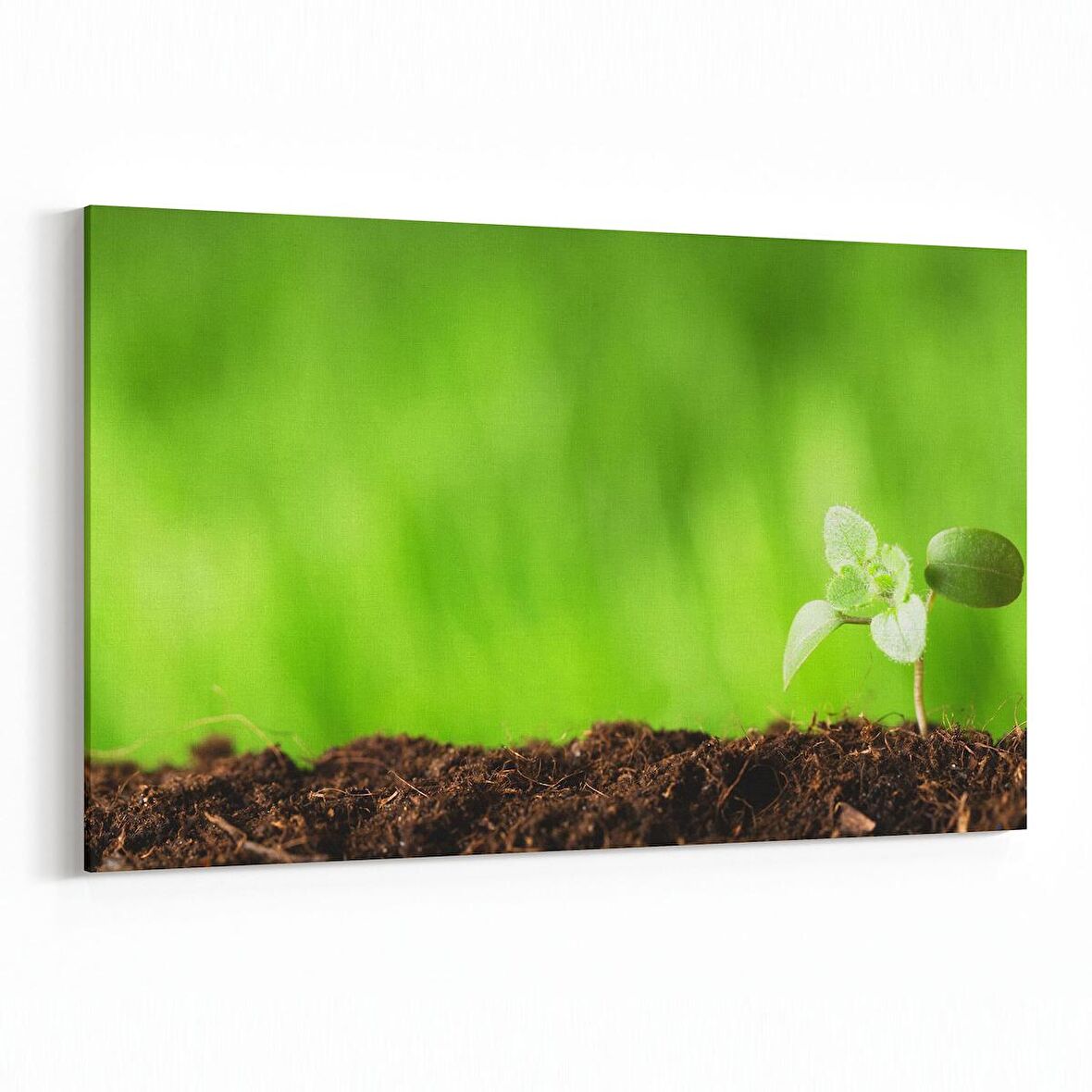 Olla 14287Y Doğa / Manzara Görseli Yatay Kanvas Tablo (Ölçü: 30X20)