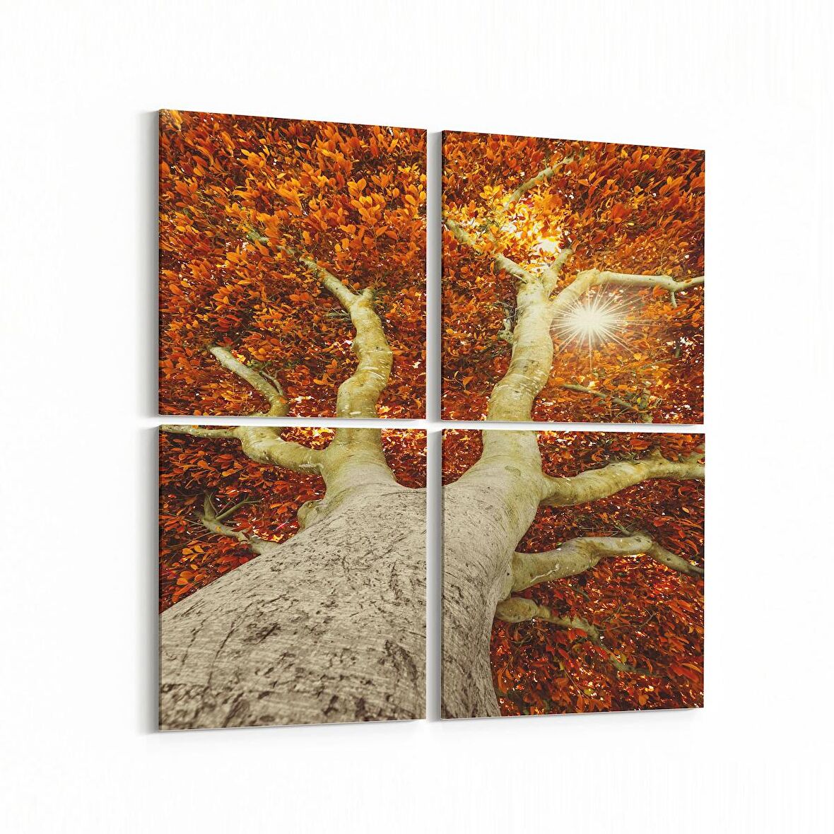 Olla 10600K4 Ağaç Görseli Kare 4'lü Kanvas Tablo (Ölçü: 65X65)