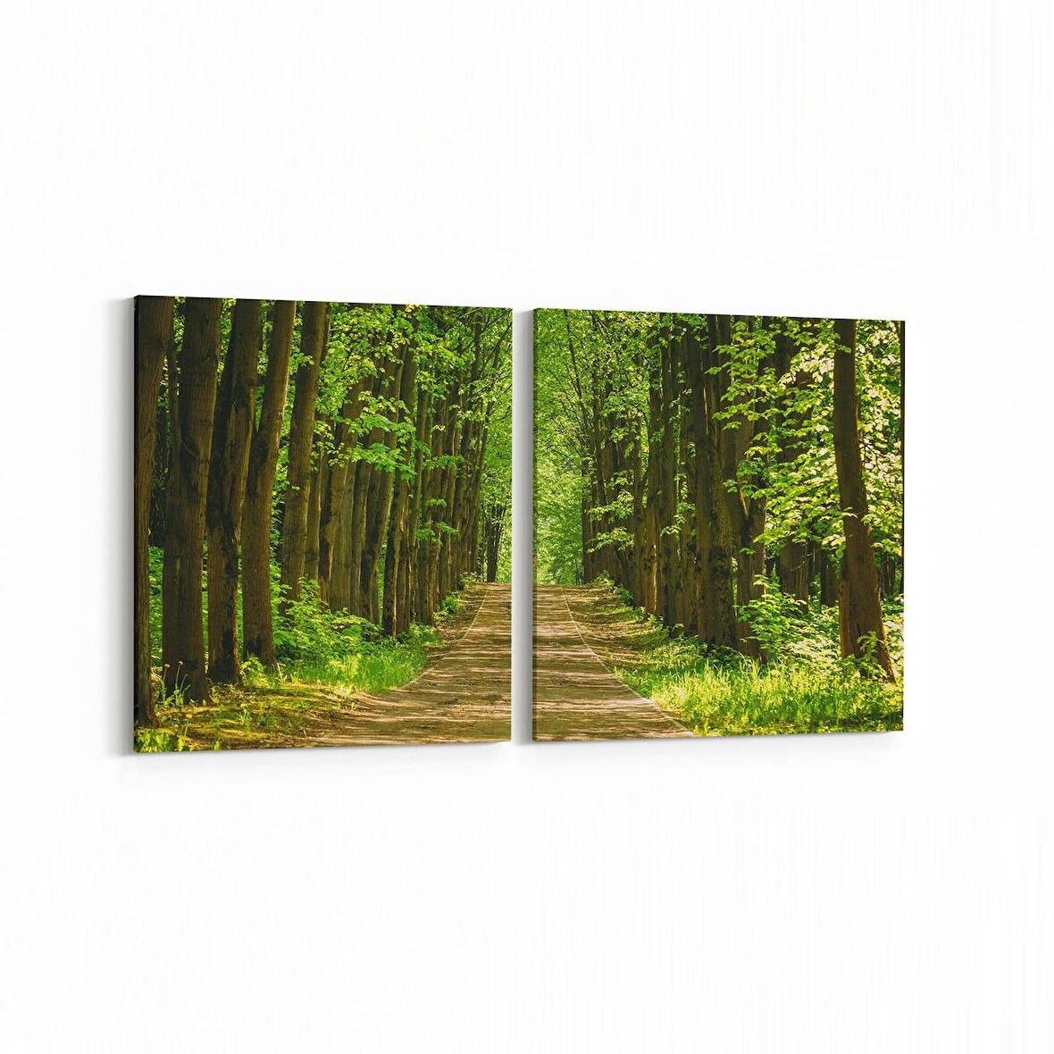 Olla 14276K2Y Doğa / Manzara Görseli Kare 2'li Yatay Kanvas Tablo (Ölçü: 65X30)