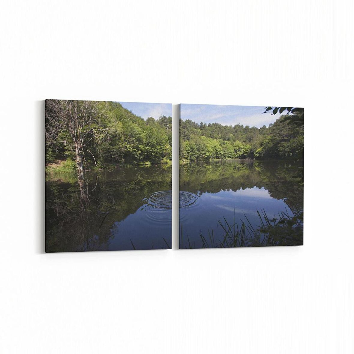 Olla 14263K2Y Doğa / Manzara Görseli Kare 2'li Yatay Kanvas Tablo (Ölçü: 85X40)