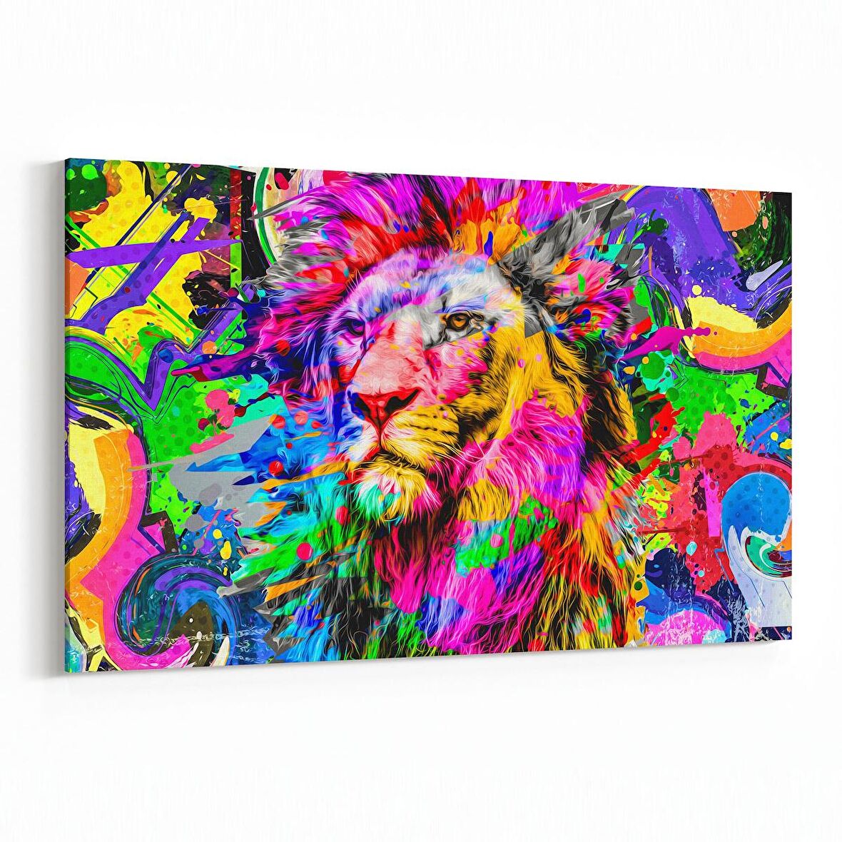 Olla 12542Y Hayvanlar Alemi Görseli Yatay Kanvas Tablo (Ölçü: 70X50)