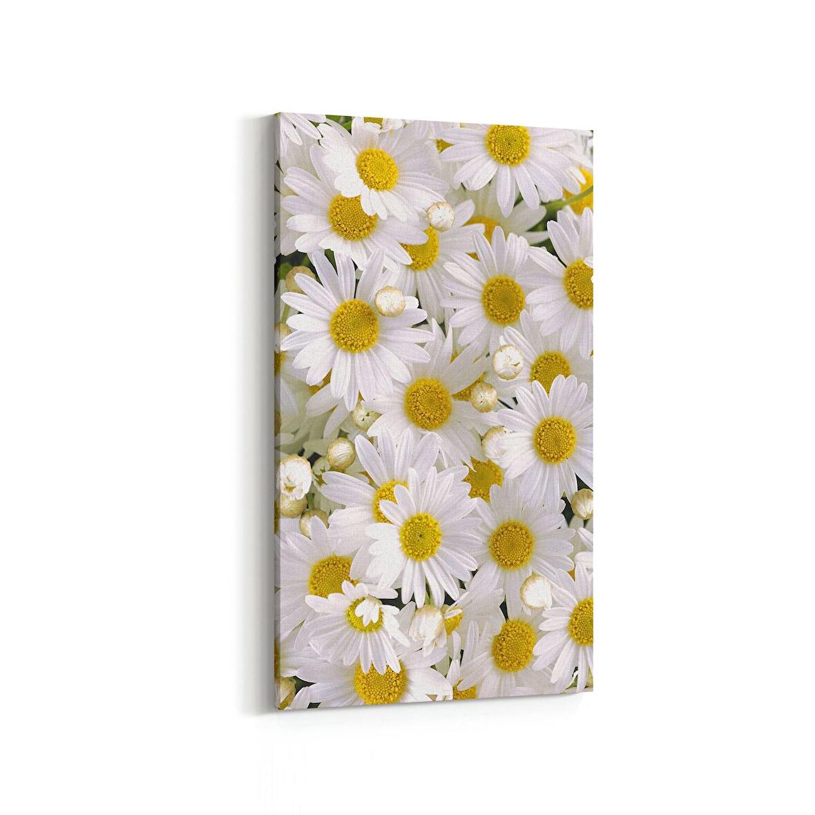 Olla 11634DD Çiçek Görseli Dikey Dar Kanvas Tablo (Ölçü: 40X80)