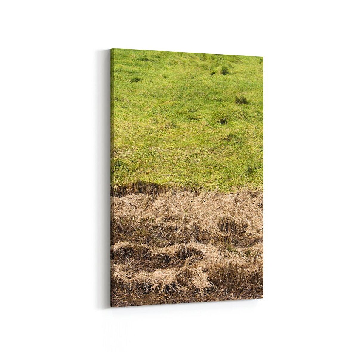 Olla 14179D Doğa / Manzara Görseli Dikey Kanvas Tablo (Ölçü: 60X90)