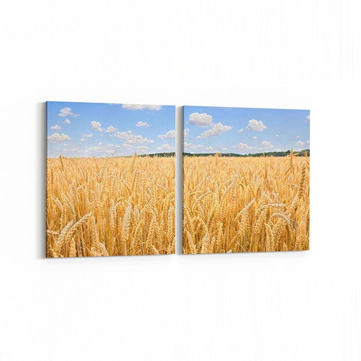 Olla 14284K2Y Doğa / Manzara Görseli Kare 2'li Yatay Kanvas Tablo (Ölçü: 145X70)